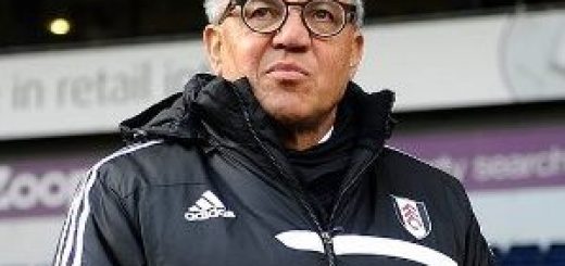 Fulham manager Felix Magath