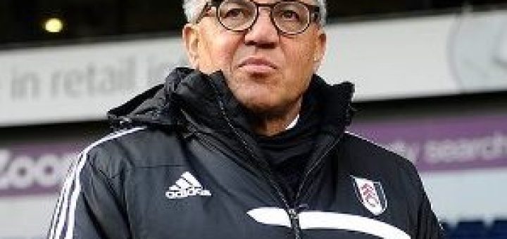 Fulham manager Felix Magath