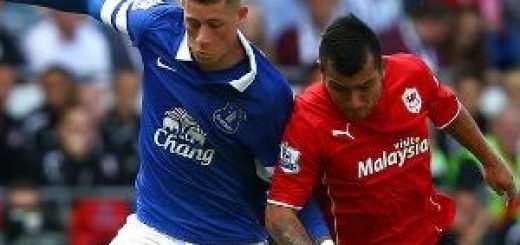 Everton's Ross Barkley and Cardiff's Gary Medel