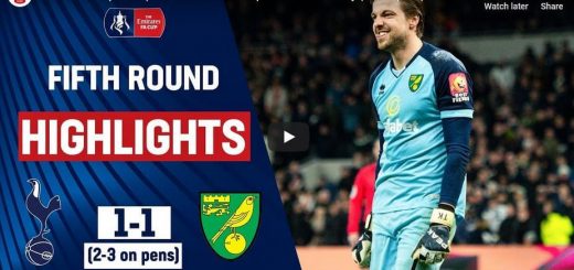 Tottenham Hotspur 1-1 Norwich City