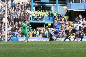 terry