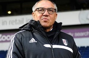 Fulham manager Felix Magath